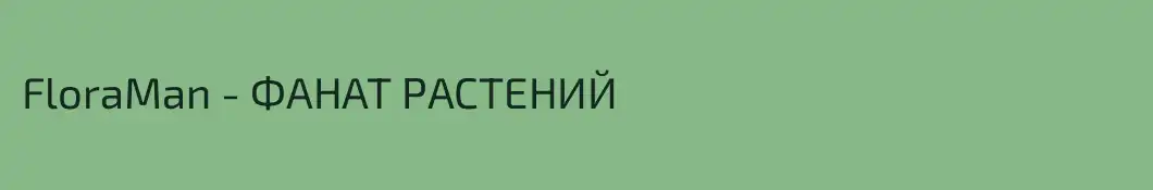 FloraMan - ФАНАТ РАСТЕНИЙ 